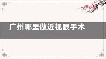 广州哪里做近视眼手术比较好？攻略分享｜视可佳 / 常春藤等 5 家医院价格 + 医生经验全解析，选对更省心！